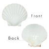 8PCS White Large Scallop Shells 4-5 inch, Natural Seashells for