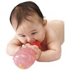 5 Fun to Grow Head Bottle Rattle