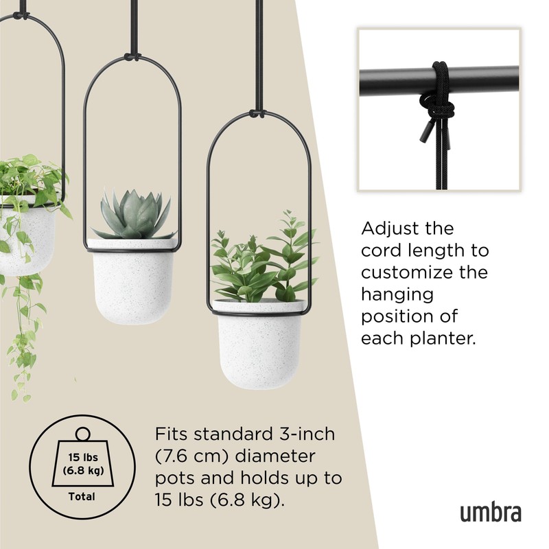 Umbra Triflora Hanging Planter for Window, Indoor Herb Garden, Set