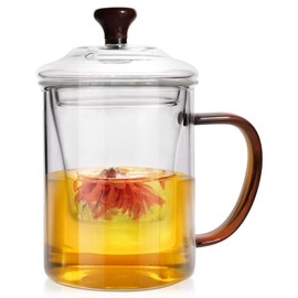 Glass Tea Cup with Infuser and Lid, 18.6oz/550ml Loose Leaf Tea Infuser Mug with Filter, Microwave Safe Glass Teacups (c8)