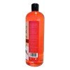6 Pz Shampoo Secreto Herbal De Chile Prevención Caída Capilar