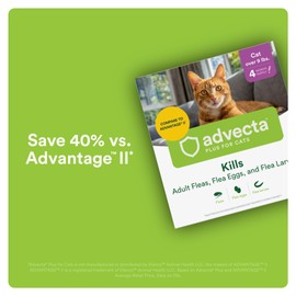 Advecta Plus Flea Prevention for Cats, Cat and Kitten Treatment & Control, Small and Large, Fast Acting Waterproof Topical Drops, 2 Month Supply