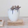 Creative Co-Op 3D Birds Stoneware Planter/Vase, Multicolor