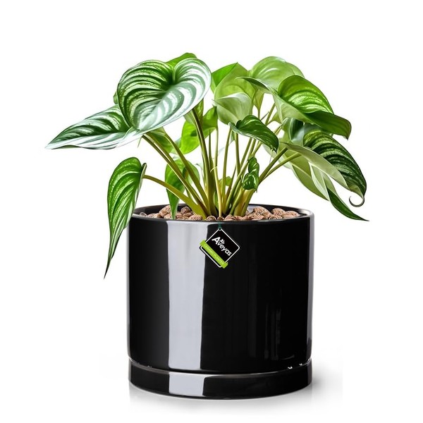 Aveyas 8 inch Ceramic Plant Pot with Drainage Hole and