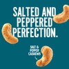Emerald Nuts Salt and Pepper Seasoned Cashews (1-Pack) | 5