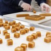 Vermont Nut Free Chocolates Boxed Chocolate Caramels (Milk Chocolate) 12-Piece,