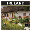 MICASA Ireland 2025 Wall Calendar 12 Month | 12" x