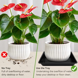 TAQIXI 6 Pack 6 Inch Square Plant Saucer, Black Durable Thick Plant Pot Dish for Flower Pot, Plastic Plant Tray to Catch Water for Indoor Outdoor
