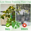 PXBSNB Pack of 50 Plant Bender Lst Clips, 360° Adjustable