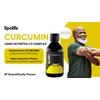 Lipolife lipolife liposomal Curcumin C3 Complex (95% curcuminoids) | Highly
