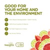 Sapadilla HS Handseife: 12 ounces (Grapefruit + Bergamotte)