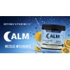 Alm Glicinato De Magnesio L-Teanina (beyond Vitamins) 400 Mg De