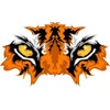 Tiger Eyes - Sticker Graphic - Auto, Wall, Laptop, Cell, Truck Sticker for Windows, Cars, Trucks