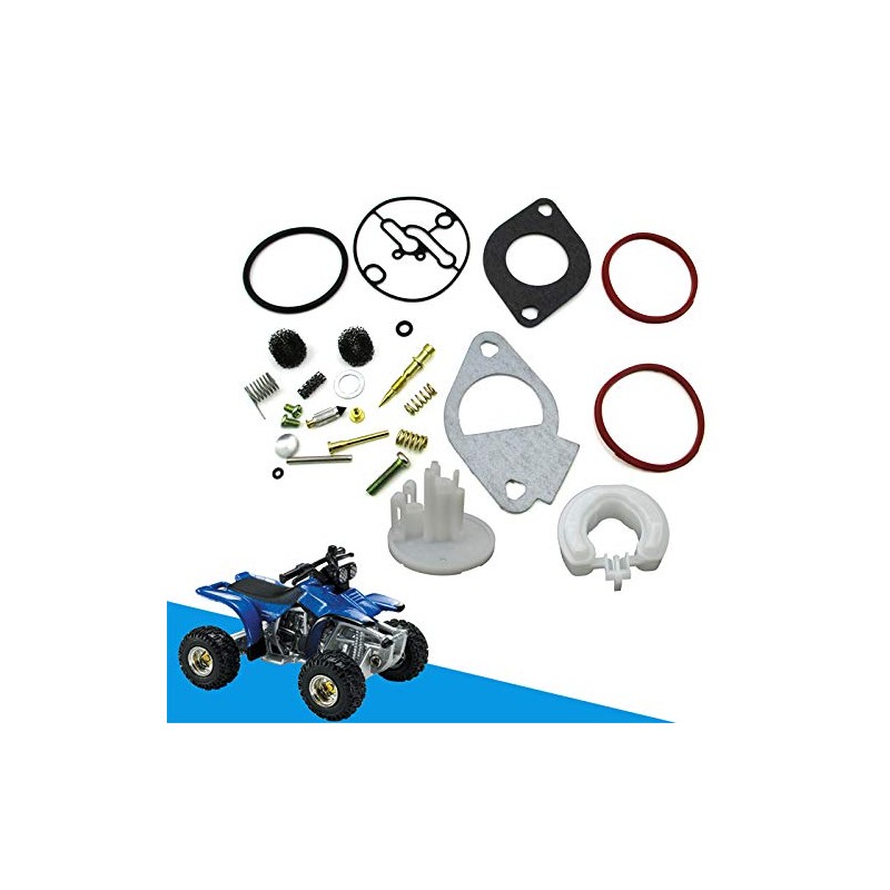 Carburetor Kit for Briggs & Stratton Craftsman, & Many more