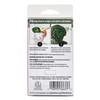 FolkArt Velvet Crush 2 Part Flocking Kit, Green