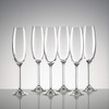 Lenox Champagne Flutes, Tuscany Classics 8 Oz Champagne Glasses Set