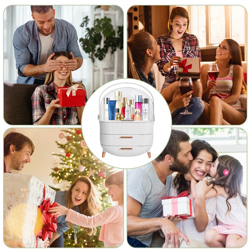 MASSY Egg Shape(Oval) Makeup Storage Box, Countertop Portable Vanity Cosmetics