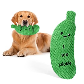 BABORUI Pickle Squeaky Dog Toys, Funny Dog Toys for Aggressive Chewers, Pickle Plush Dog Toys for Small/Medium/Large Dog Exercise and Accompany