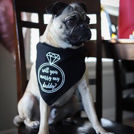 Will You Marry My Daddy? Dog Bandana | 100% Cotton Triangle | Made in USA | Wedding Photo Prop | Bridal Shower | Engagement Announcement | Black, X-Small (50)