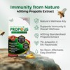 LABO Nutrition Brazilian Green Propolis Ultimate – Propolis Extract with