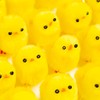 abeec 24 Pack Of Easter Chicks – 24 x Yellow