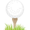 CafePress Golf Tee Sticker Rectangle Bumper Sticker Car Decal