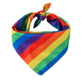 WANGCL Pack of 2 Rainbow Bandanas, Colourful Stripes Pride Bandana Men Women and Gay Party Celebration Costume Accessories