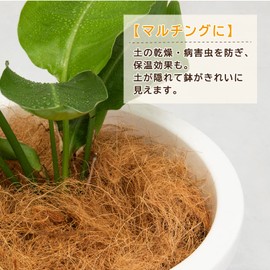 Astro Coco Fiber, Approx. 3.5 oz (100 g), Coco Fiber, Mulching, Soil, Coco Fiber, Solestone Alternative, 624-02 Coco Fiber, Light Brown Type