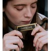 Randon Golden Harmonica Key of C with Case, 10 Holes