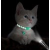 Taglory Kitten Collar Breakaway with Bell, 2 Pack Girl Boy