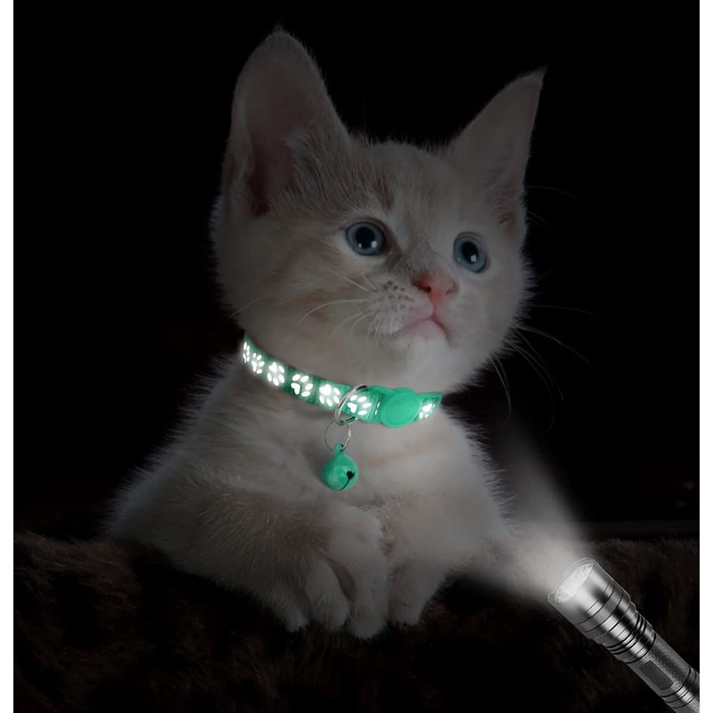 Taglory Kitten Collar Breakaway with Bell, 2 Pack Girl Boy