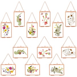 Kigley Double Glass Frame for Pressed Flowers Floating Hanging Photo Frame Gift for Graduation Mother's Day 3.5 x 2.5 in Brass Clear Decor with Chain for Display Gallery Artwork(Rose Gold,12 Pcs)