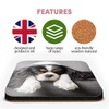 Great Single Coaster Square - Cavalier King Charles Spaniel Dog