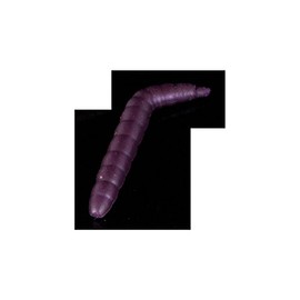 Sänger Iron Trout Baco 8041010 Trout Bait 4 cm Floating Purple