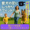 Pet Supporter, Elastic Velcro (Spring Included) Dogs, Rear Legs Dislocation,