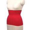 Made in Japan, EM Cotton, Stomach Wrap, Regular Length (Approx.