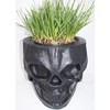 Skull Tiki Planter (Black)