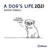 2021 A Dogs Life Square Wall Calendar