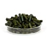 GARNELEN4YOU® Neo Algae Sticks | Growth & Reproduction Booster |
