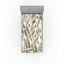 Ambesonne Money 2 Pack Fitted Sheet, Ben Franklin Portrait Wealth, Bed Cover All-Round Elastic Deep Pockets 2 Pieces, Package Contains 2 Twin Size Fitted Sheets, Pale Green Grey