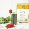 Flora - Green Blend Fermented Grasses, Whole Foods and Superfoods,