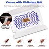 Roach Sticky Traps Indoor 10 Pack | Cockroach Killer with