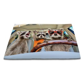 SPUNKER Door Mat, 17 x 30 Inch Funny Raccoon Welcome Doormat Decorative Home Floor Mat, Non Slip Back and Strong Water Absorption for Outdoor Indoor Entrance Decor