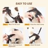 GlasFlength Cat Harness with Lead, Escape Proof, Cat Lead with