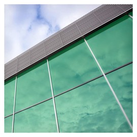 BDF CAGN Decorative Window Film Transparent Color Green - 36in X 15ft