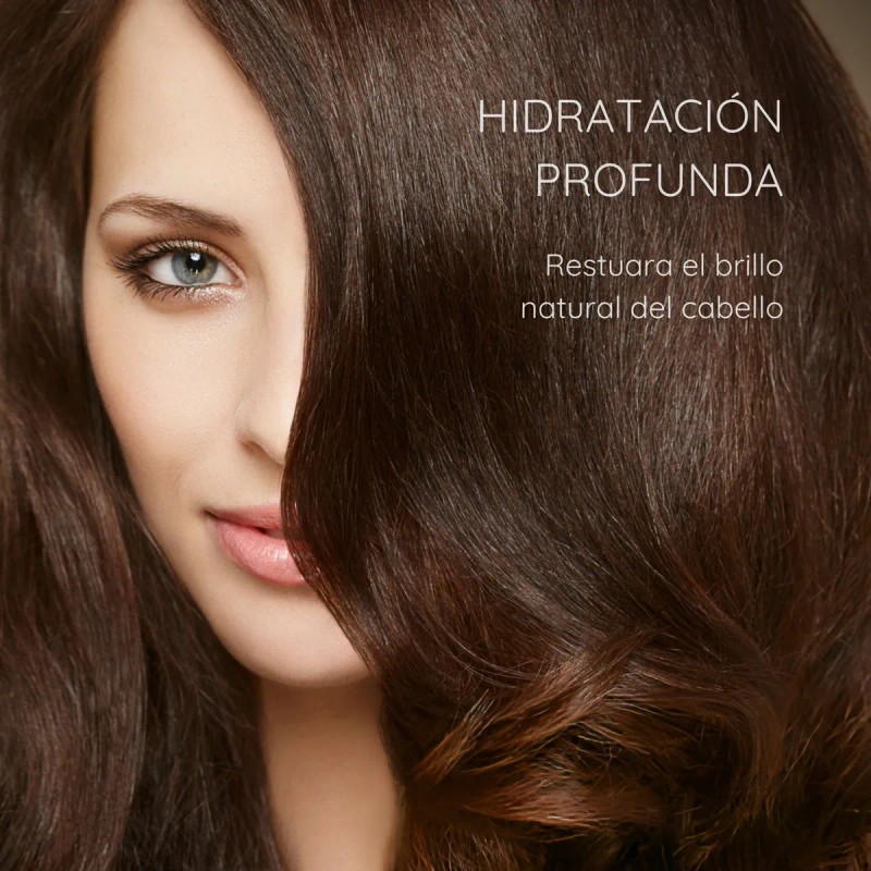 Shampoo Hotelero Económico Amenidades 60 Pz