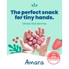 Amara Smoothie Melts - Mixed Red Berries - Baby Snacks