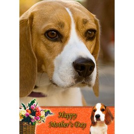 Beagle Dog Mothers Day Card