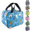 Nanxson Lunch Bag, Waterproof Picnic Bag, Insulated Bag for Travel,
