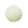 Gnawsome Glow-in-The-Dark Spiky Ball- Small 2.5"